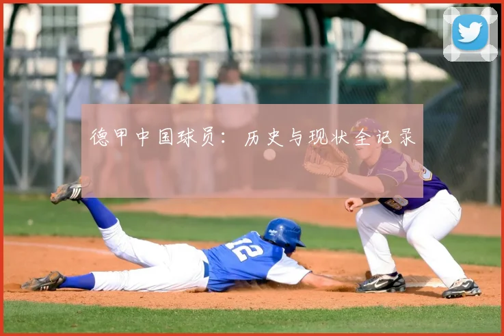 德甲中国球员：历史与现状全记录