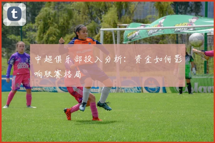中超俱乐部投入分析:资金如何影响联赛格局