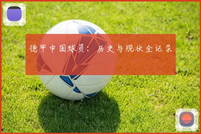 德甲中国球员:历史与现状全记录