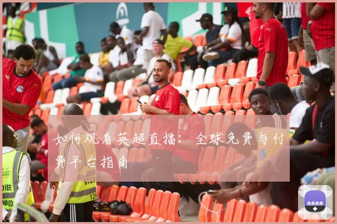 如何观看英超直播：全球免费与付费平台指南